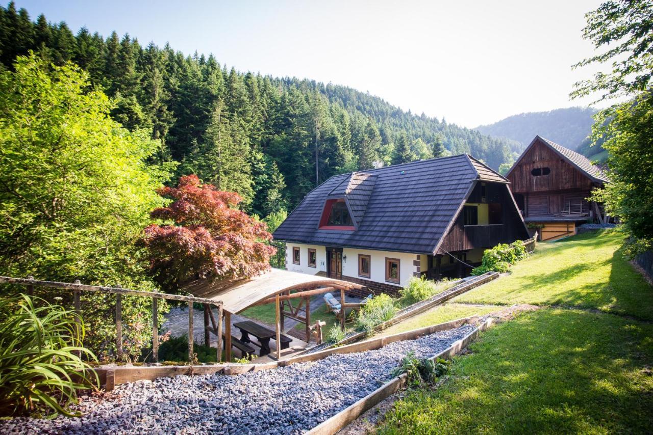 فيلا Estate Zagmestri Ljubno المظهر الخارجي الصورة